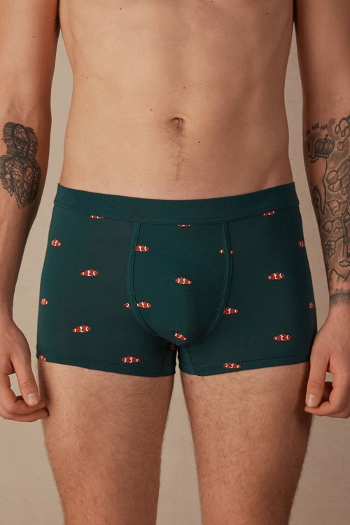 Green - 308j - Dark Green Clownfish Print Intimissimi Clownfish Boxers in Natural Fresh Supima® Cotton | PSDRO4968