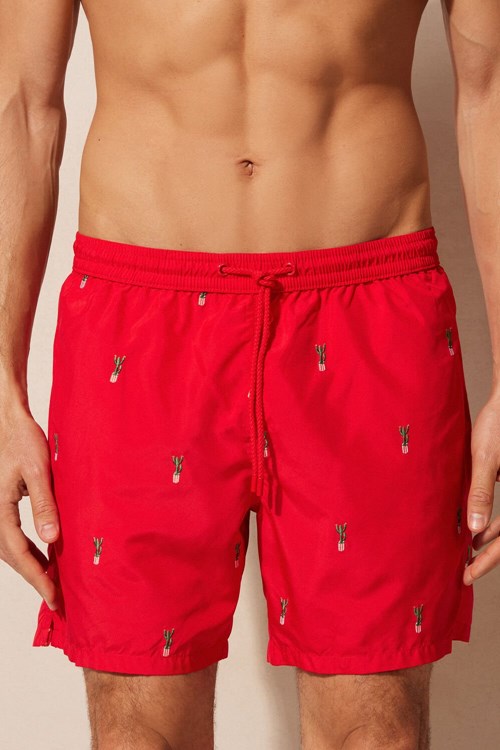 Print - 258j - Red Cactus Embroidery Intimissimi Embroidered Cactus Swim Trunks | OUVNK3945