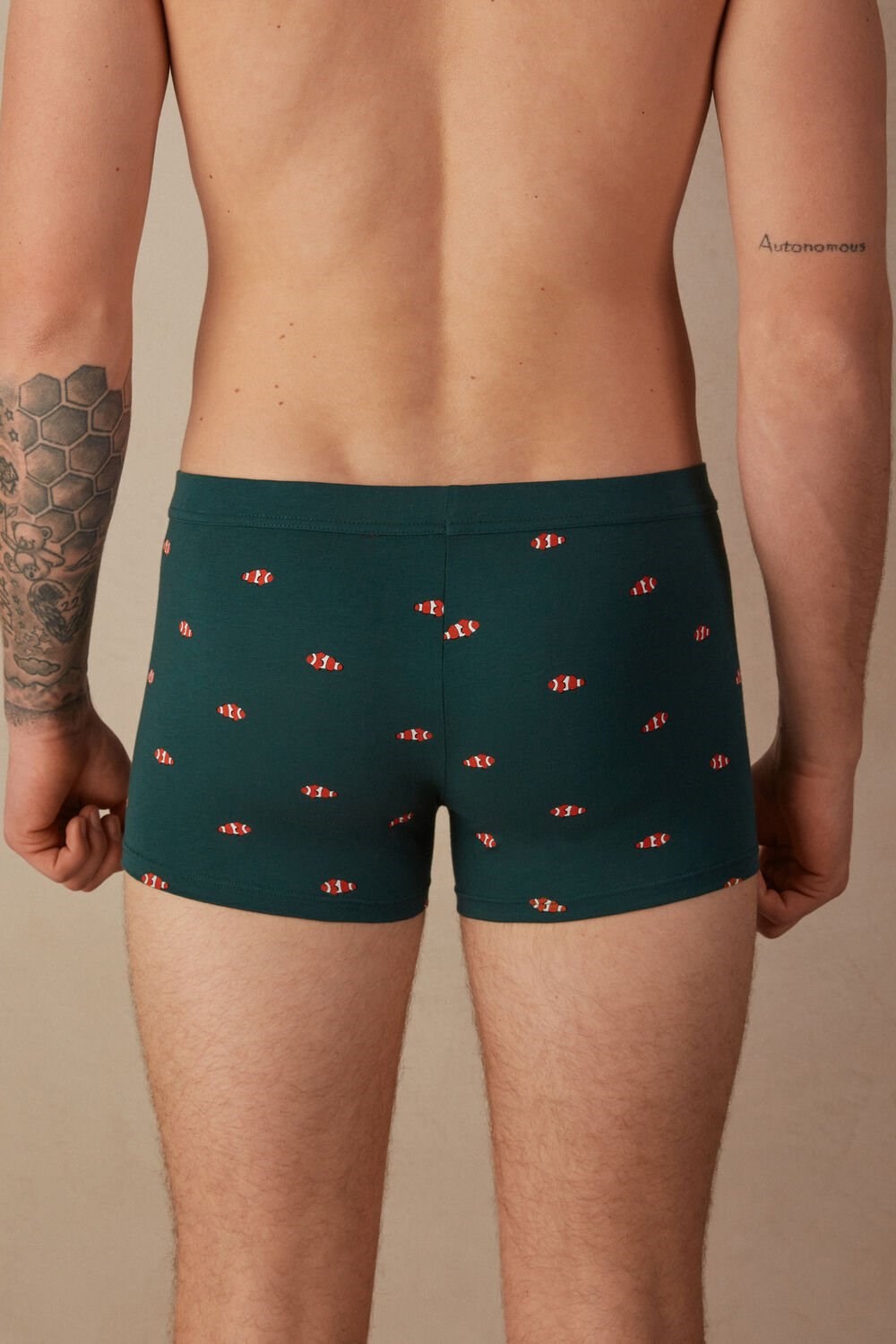 Green - 308j - Dark Green Clownfish Print Intimissimi Clownfish Boxers in Natural Fresh Supima® Cotton | PSDRO4968