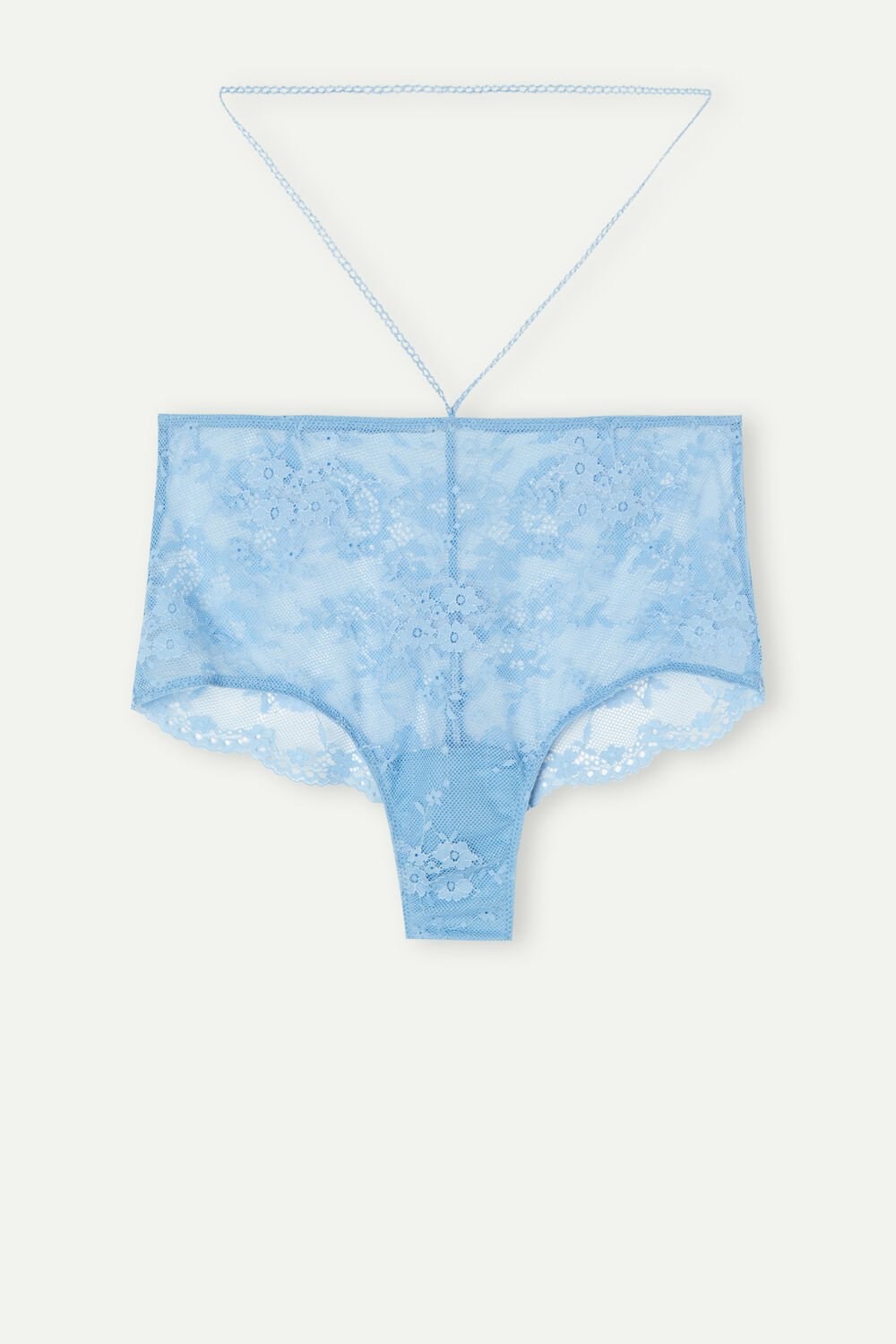 Light Blue - 211j - Light Blue Hydrangea Intimissimi Feeling Beautiful Brazilian Hipsters | NGBTF7356