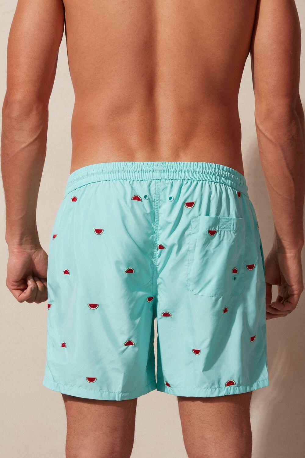 Print - 255j - Aqua Green Watermelon Embroidery Intimissimi Embroidered Watermelon Swim Trunks | DLTBZ9405