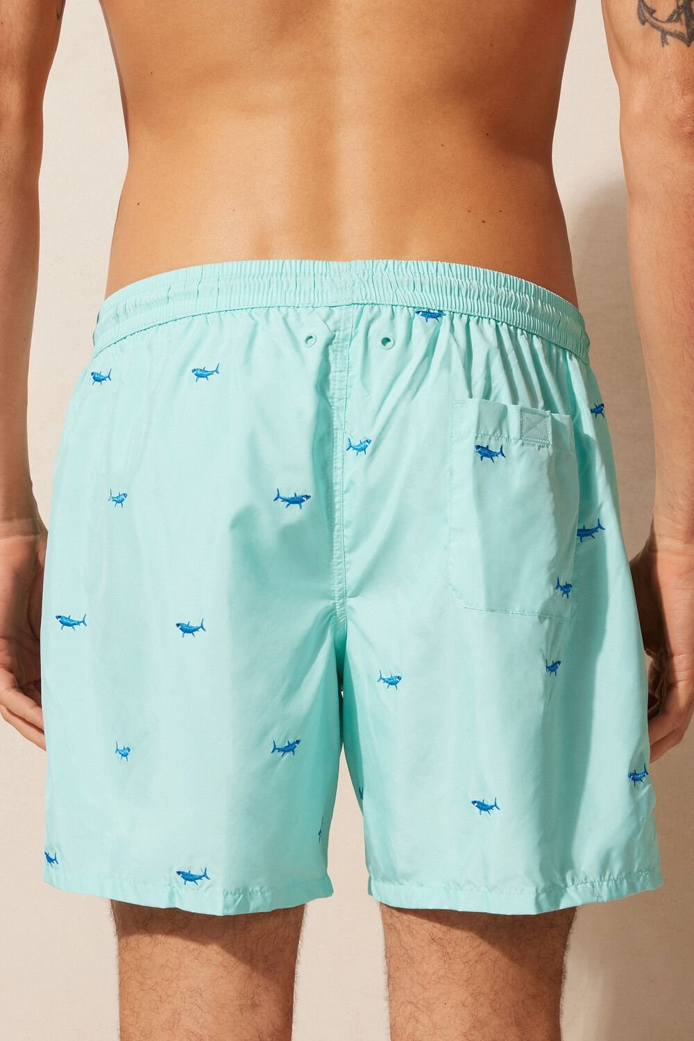 Print - 256j - Aqua Green Shark Embroidery Intimissimi Embroidered Shark Swim Trunks | HDZFL2975