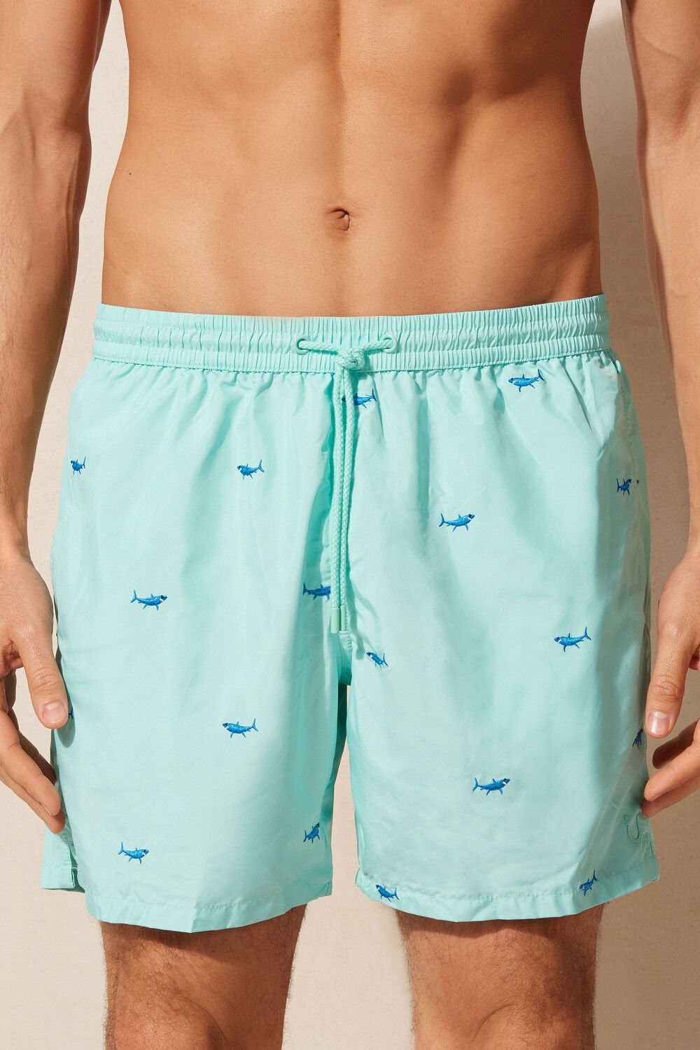 Print - 256j - Aqua Green Shark Embroidery Intimissimi Embroidered Shark Swim Trunks | HDZFL2975