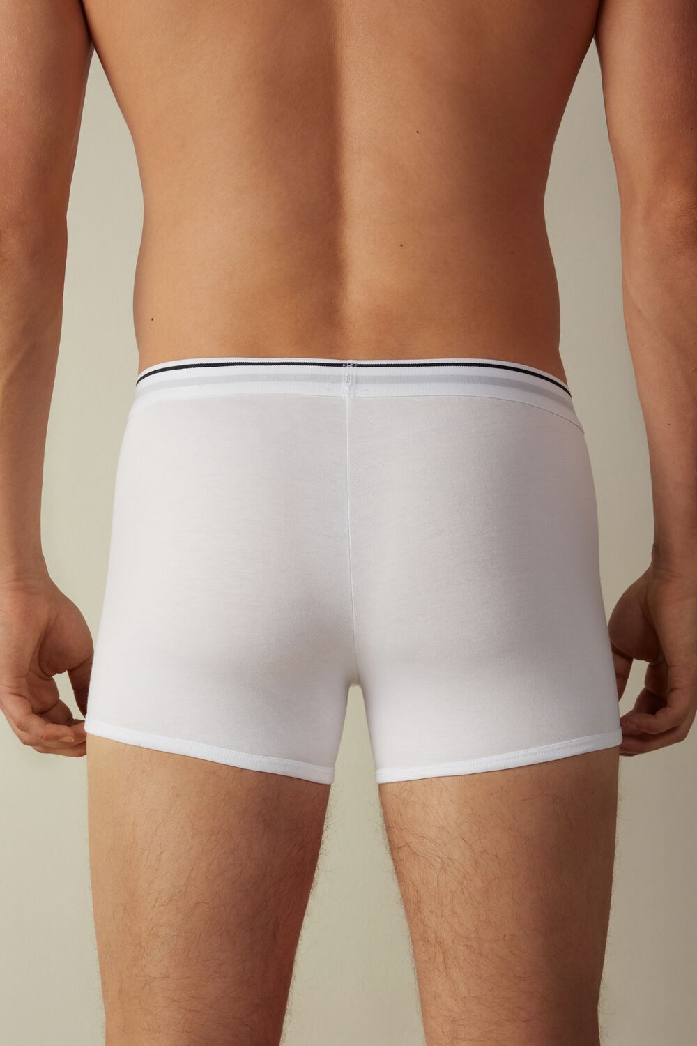 White - 6986 - White / Blue Intimissimi Supima® Cotton Boxers | HZAUF1569